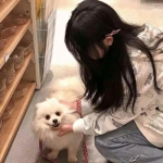 每次吸猫都有意外游戏
